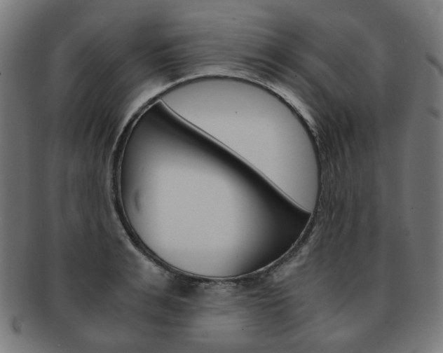 X0000092020991200709061326