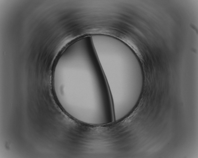 X0000092020992200709061326