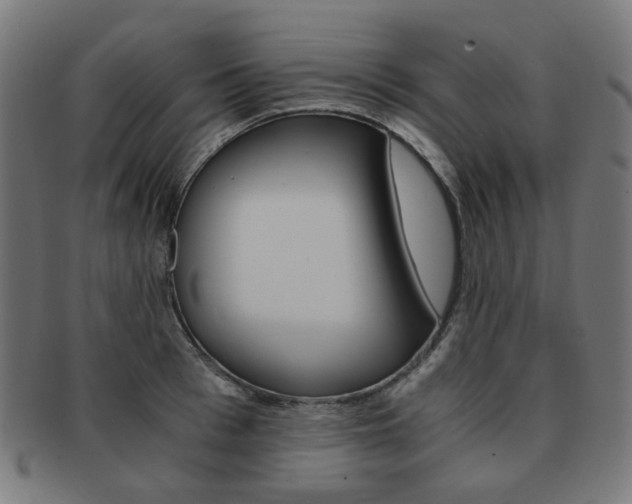 X0000092020993200709061326