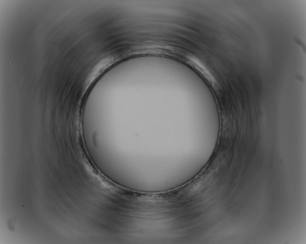 X0000092020994200709061326