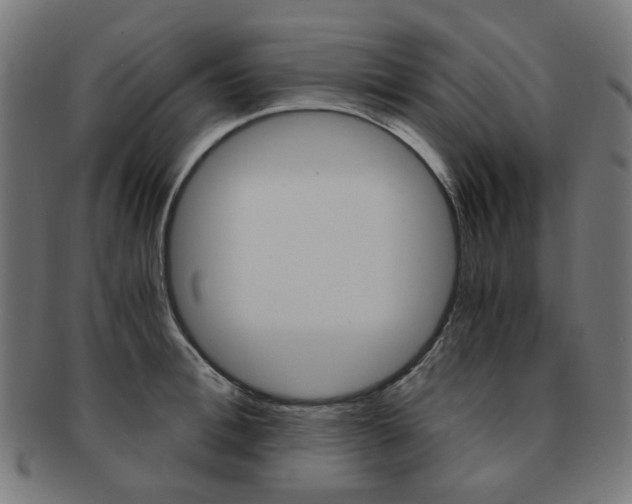 X0000092020996200709061326