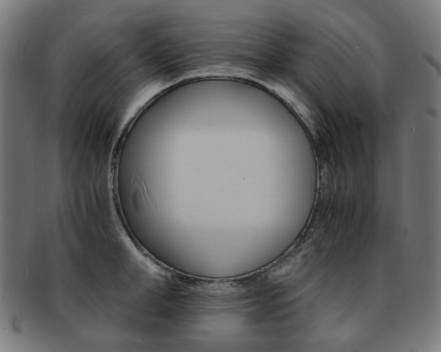X0000092020998200709061326