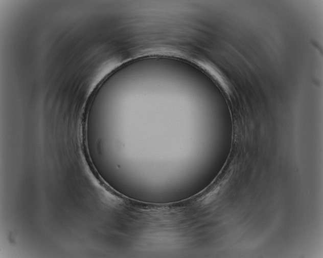 X0000092020999200709061326