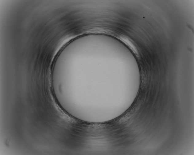 X0000092021000200709061326