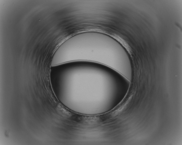 X0000092021001200709061326
