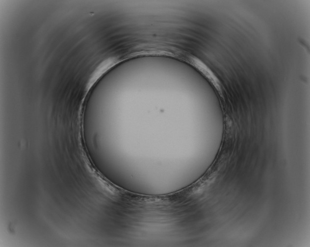 X0000092021002200709061326