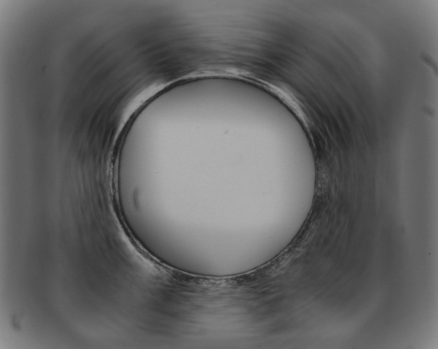 X0000092021003200709061326