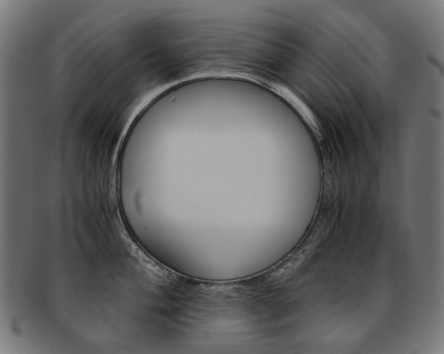 X0000092021004200709061326