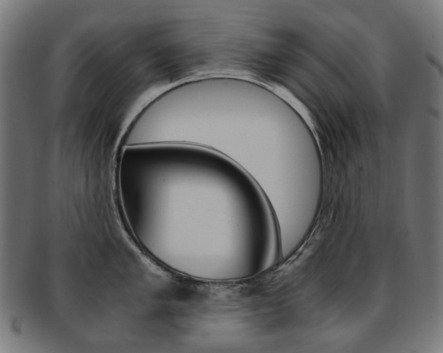 X0000092021005200709061326