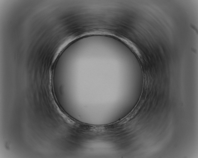 X0000092021006200709061326