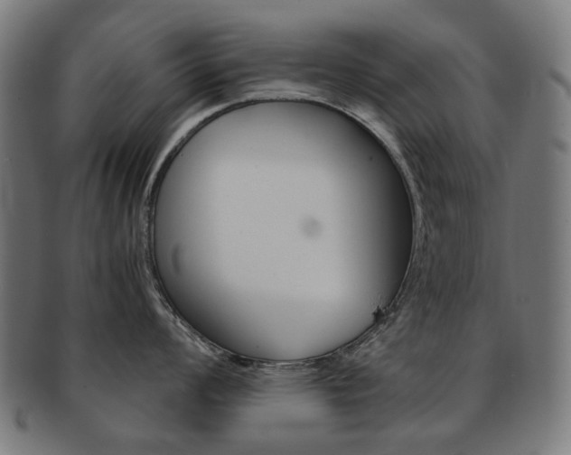 X0000092021008200709061326