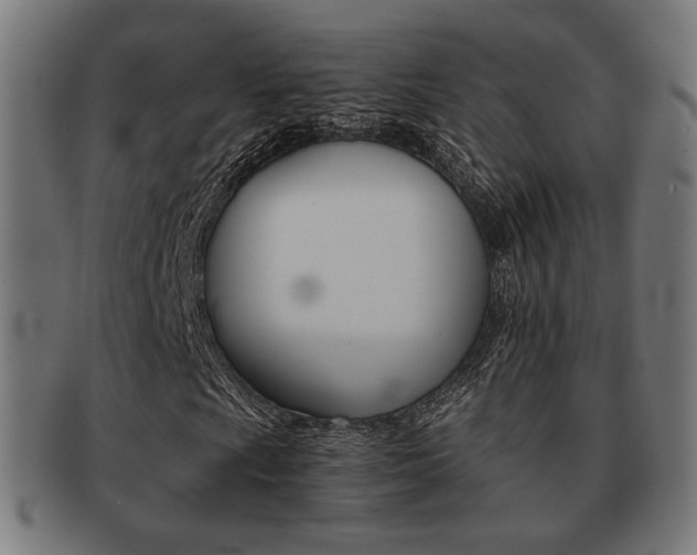 X0000092021009200709061325