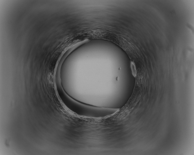 X0000092021010200709061325