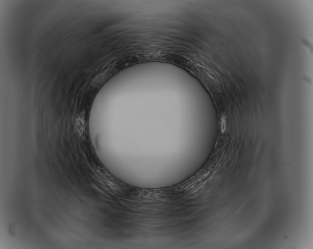 X0000092021011200709061325
