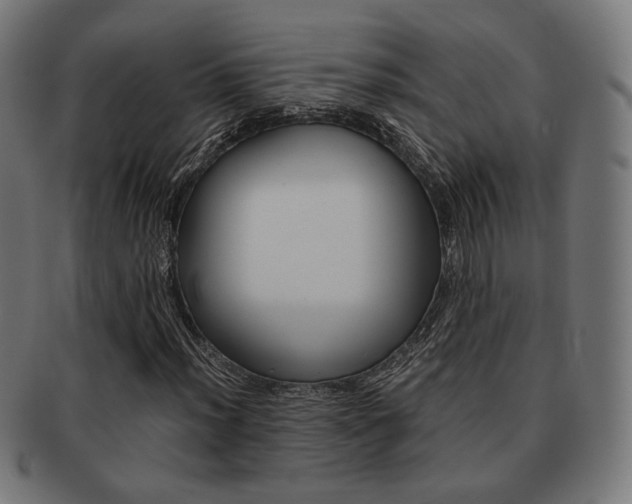 X0000092021012200709061325