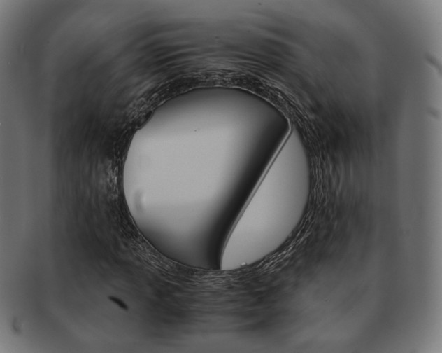 X0000092021013200709061325