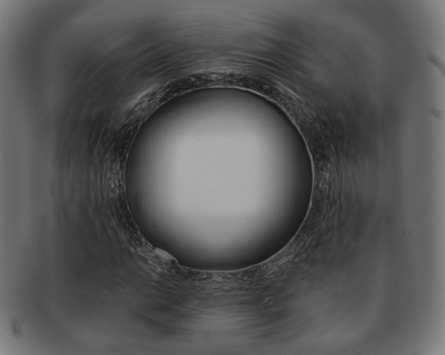 X0000092021014200709061325