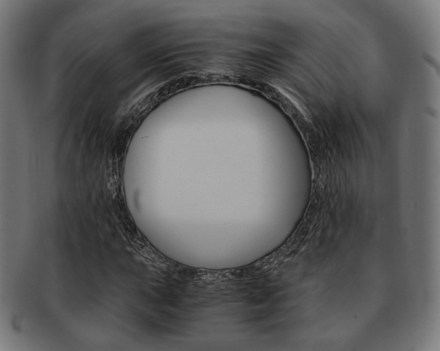 X0000092021015200709061325