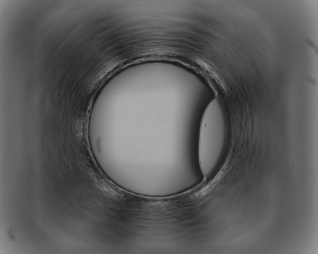 X0000092021017200709061325