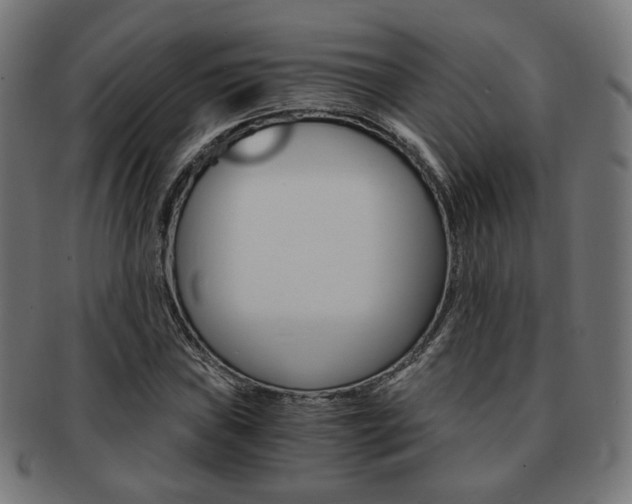 X0000092021019200709061325