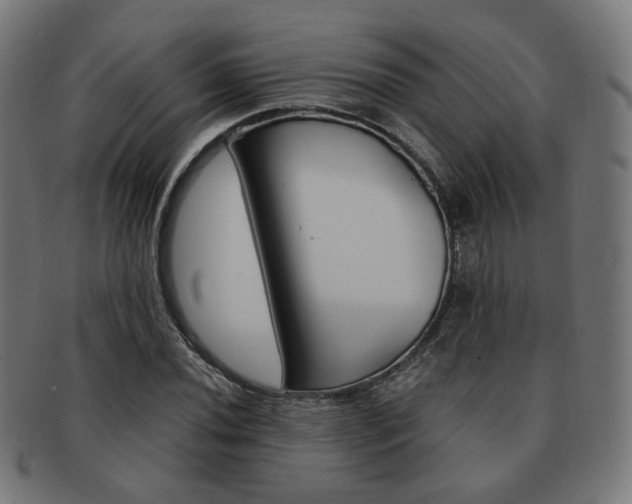 X0000092021020200709061325