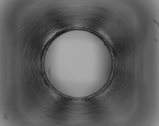 X0000092021023200709061325