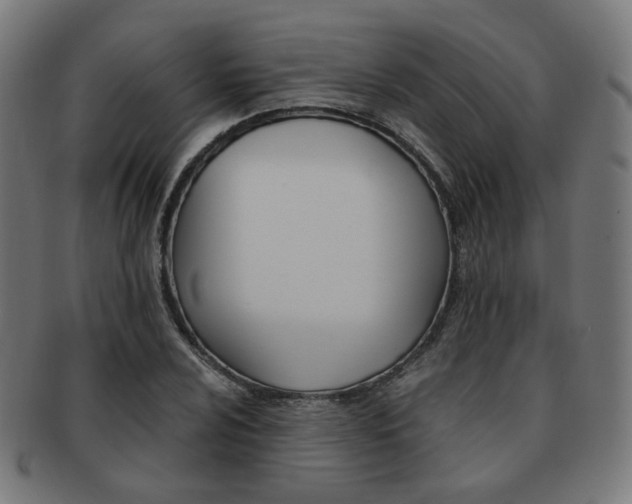 X0000092021024200709061325