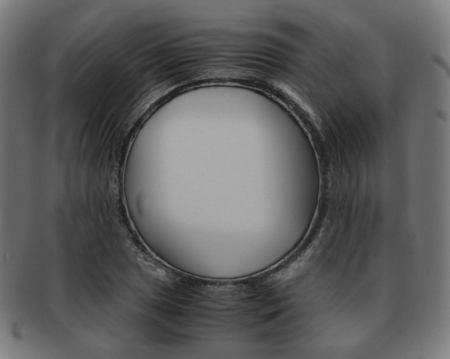 X0000092021025200709061325