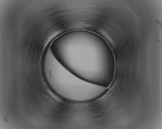 X0000092021026200709061325