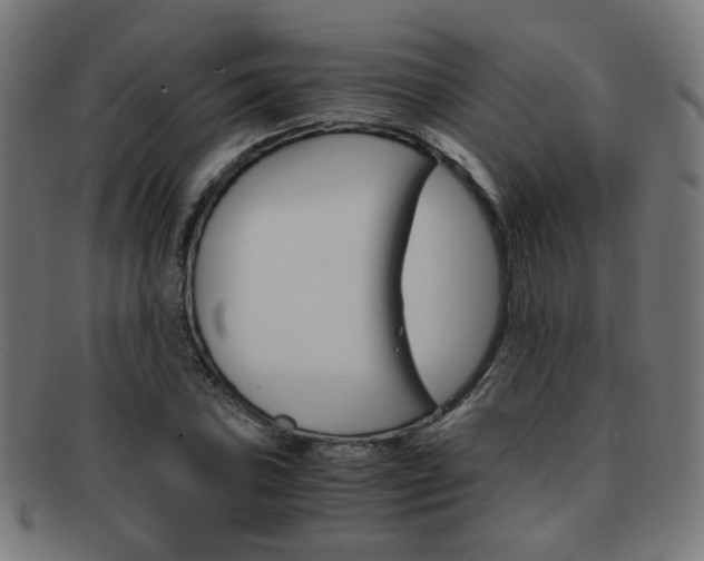 X0000092021027200709061325