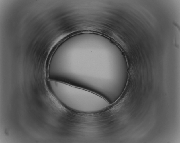 X0000092021028200709061325