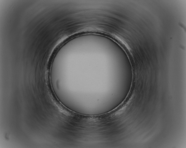 X0000092021029200709061325