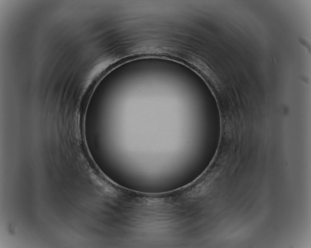 X0000092021030200709061325