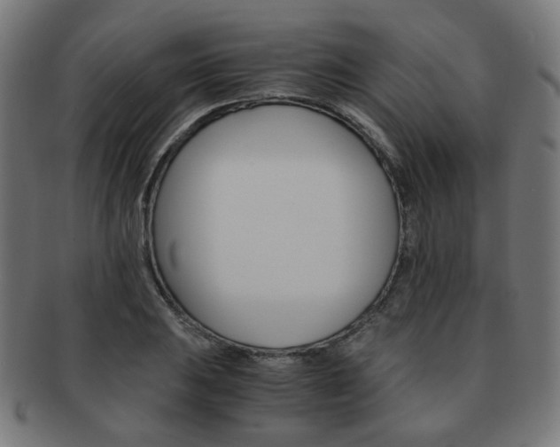 X0000092021031200709061325