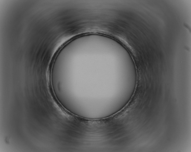 X0000092021032200709061325