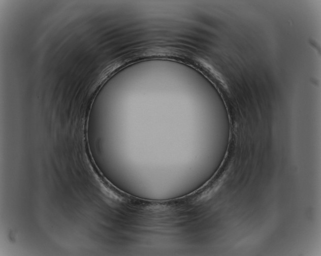 X0000092021033200709061325