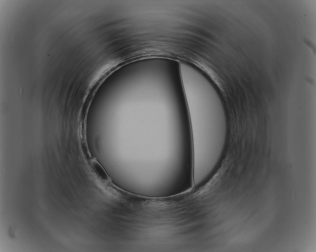 X0000092021034200709061325
