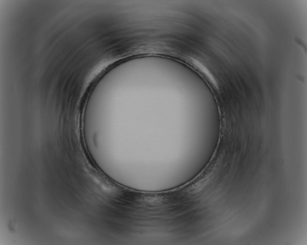 X0000092021035200709061325