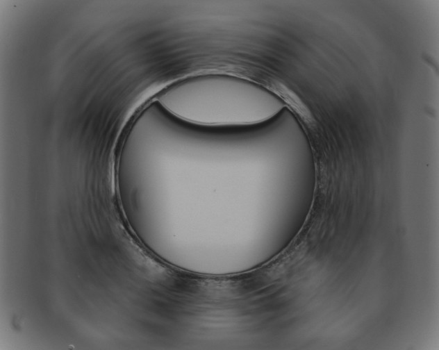 X0000092021036200709061326