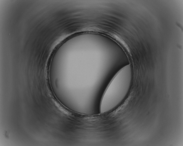 X0000092021037200709061326