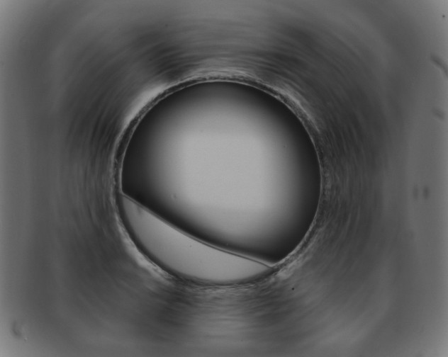 X0000092021038200709061326