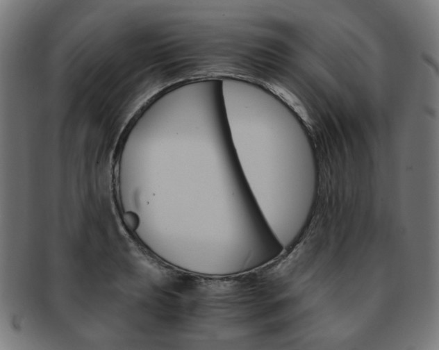 X0000092021039200709061326
