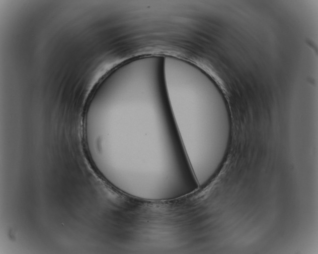 X0000092021040200709061326