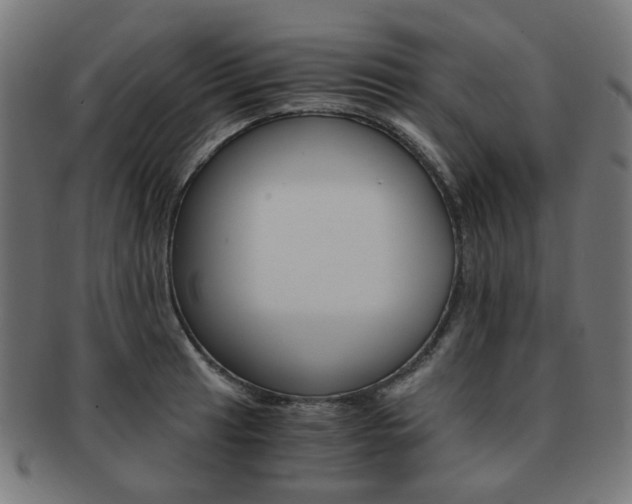 X0000092021041200709061326