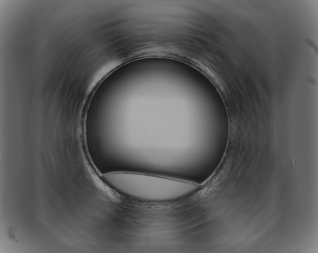 X0000092021042200709061326