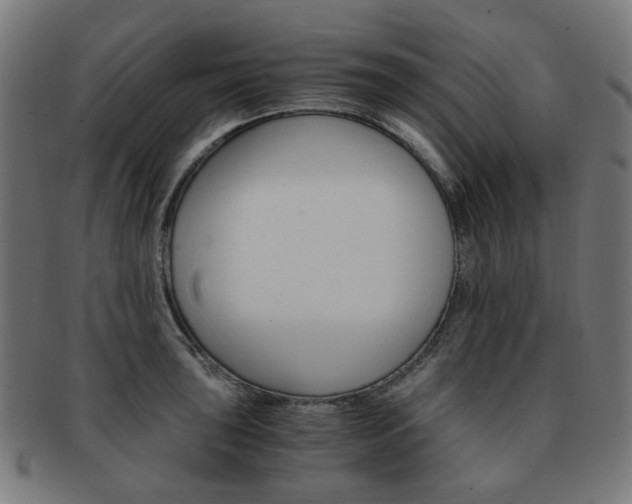 X0000092021043200709061326
