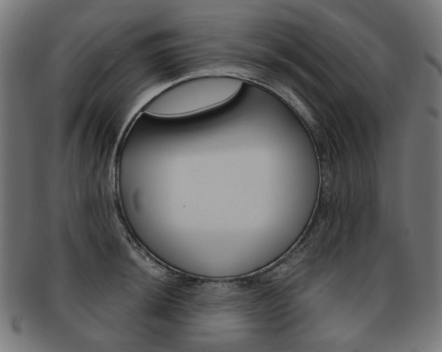 X0000092021044200709061326