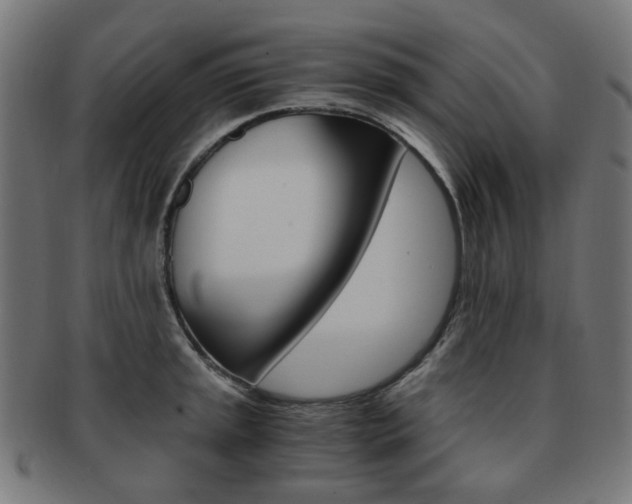 X0000092021045200709061326