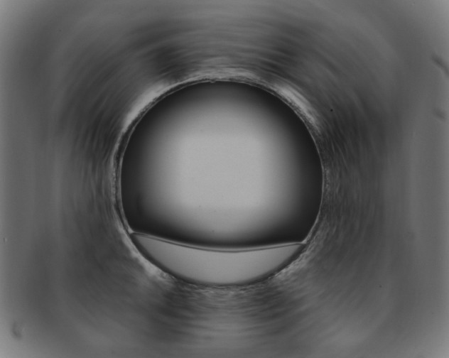 X0000092021046200709061326