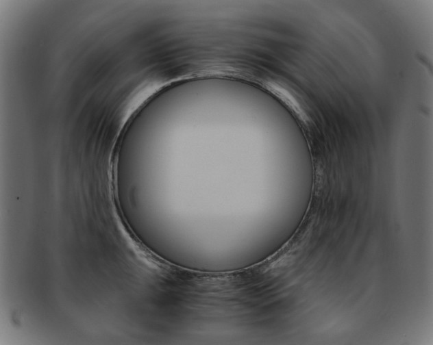X0000092021047200709061326